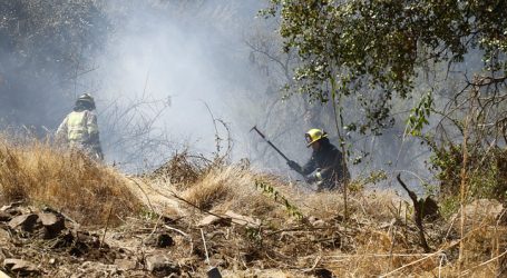 Conaf inició prohibición de quemas agrícolas en la Región Metropolitana
