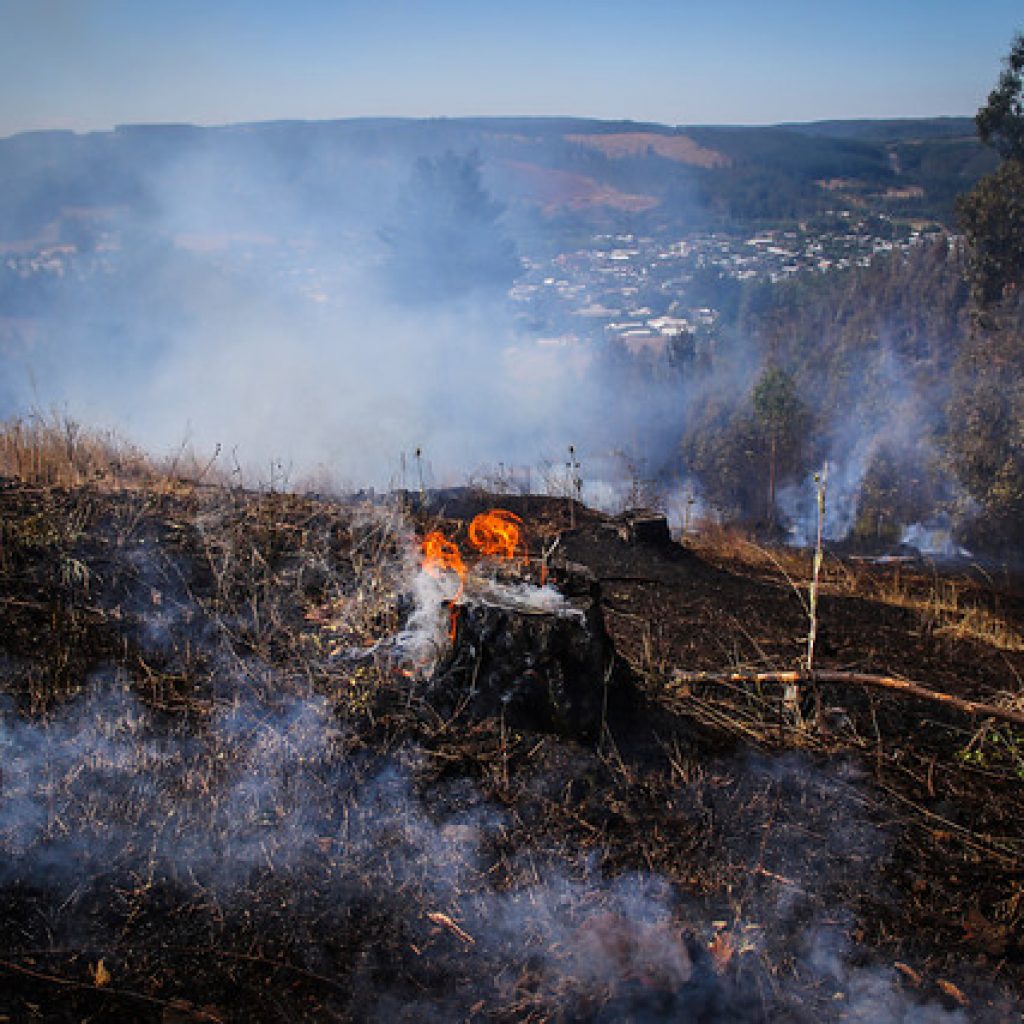 Se mantiene Alerta Roja para la comuna de Galvarino por incendio forestal