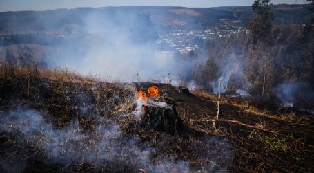 Se mantiene Alerta Roja para la comuna de Galvarino por incendio forestal