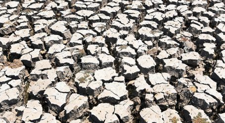 Greenpeace presentó primera parte de su encuesta “Agua y Constitución”