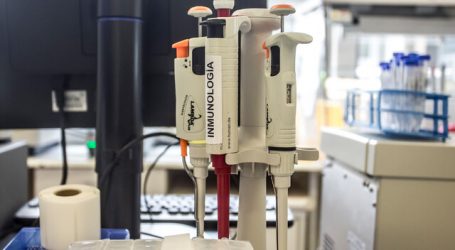 Finlandia aplaza a junio las elecciones locales por la pandemia