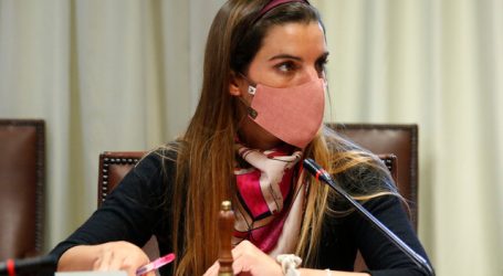 Orsini llama a poner urgencia a ley Antonia tras nuevo suicidio femicida