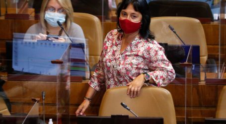 Diputada Marzán denunció irregularidades de protocolos Covid en colegios