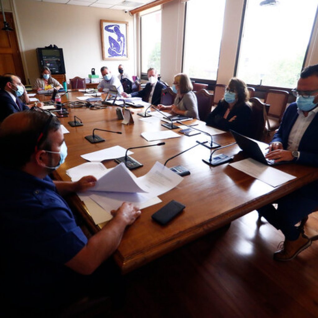 Despachan a la Cámara proyecto que permite elecciones de abril en dos días