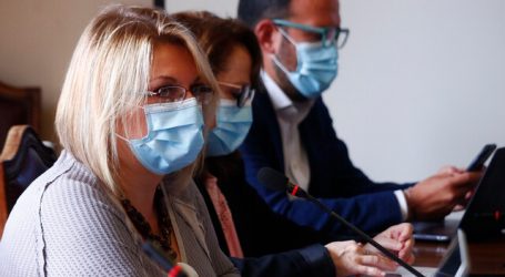 Diputada Andrea Parra planteó opción de atrasar las elecciones municipales