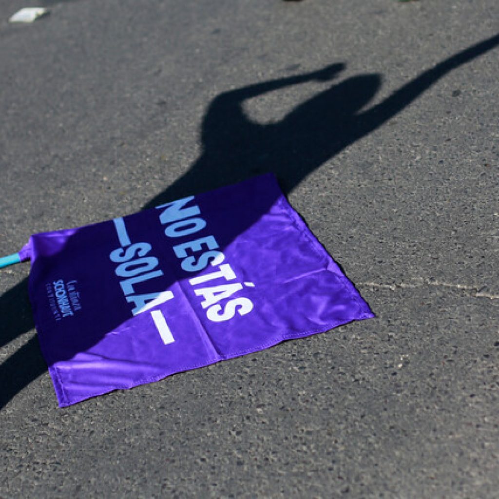 Lanzan campaña para denunciar violencia intrafamiliar en zona rural en Punitaqui