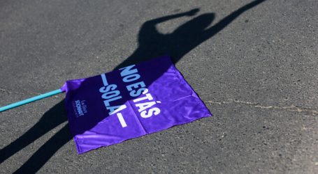 Lanzan campaña para denunciar violencia intrafamiliar en zona rural en Punitaqui