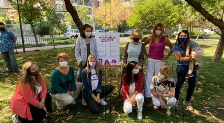 Sabat y Matthei anuncian creación de la “Defensoría de la Mujer”