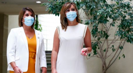 Patricia Rubio asumió en reemplazo de exdiputada Loreto Carvajal