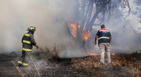 Alerta Roja para la comuna de Valparaíso por incendio forestal