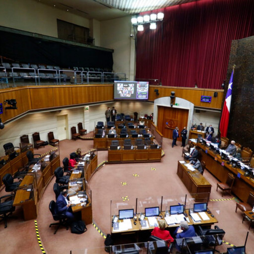 Pensiones de alimentos y Fondo de Cesantía: Ahora comienza debate de articulado