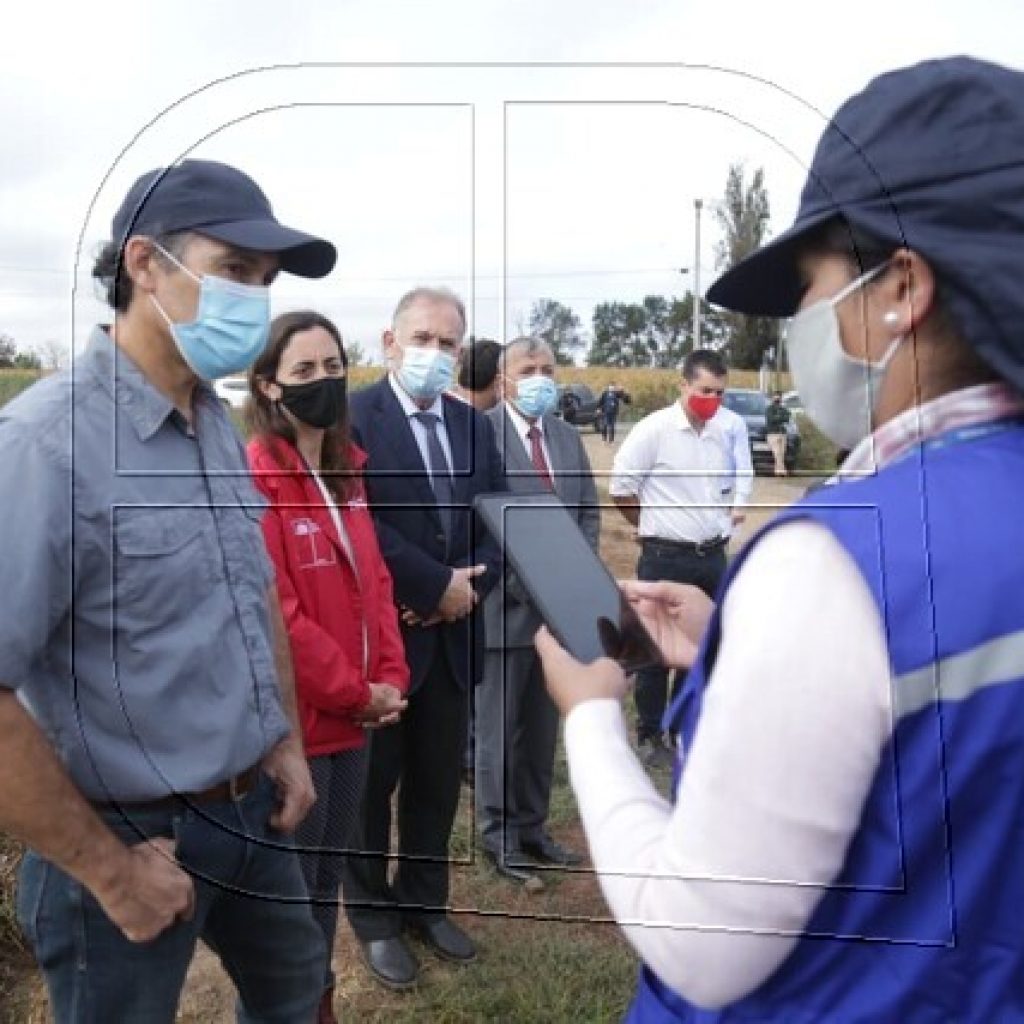 Ministra Undurraga da el vamos del censo agrícola en la región del Maule