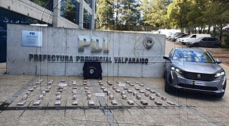 Valparaíso: PDI desbarata organización criminal dedicada al tráfico de drogas
