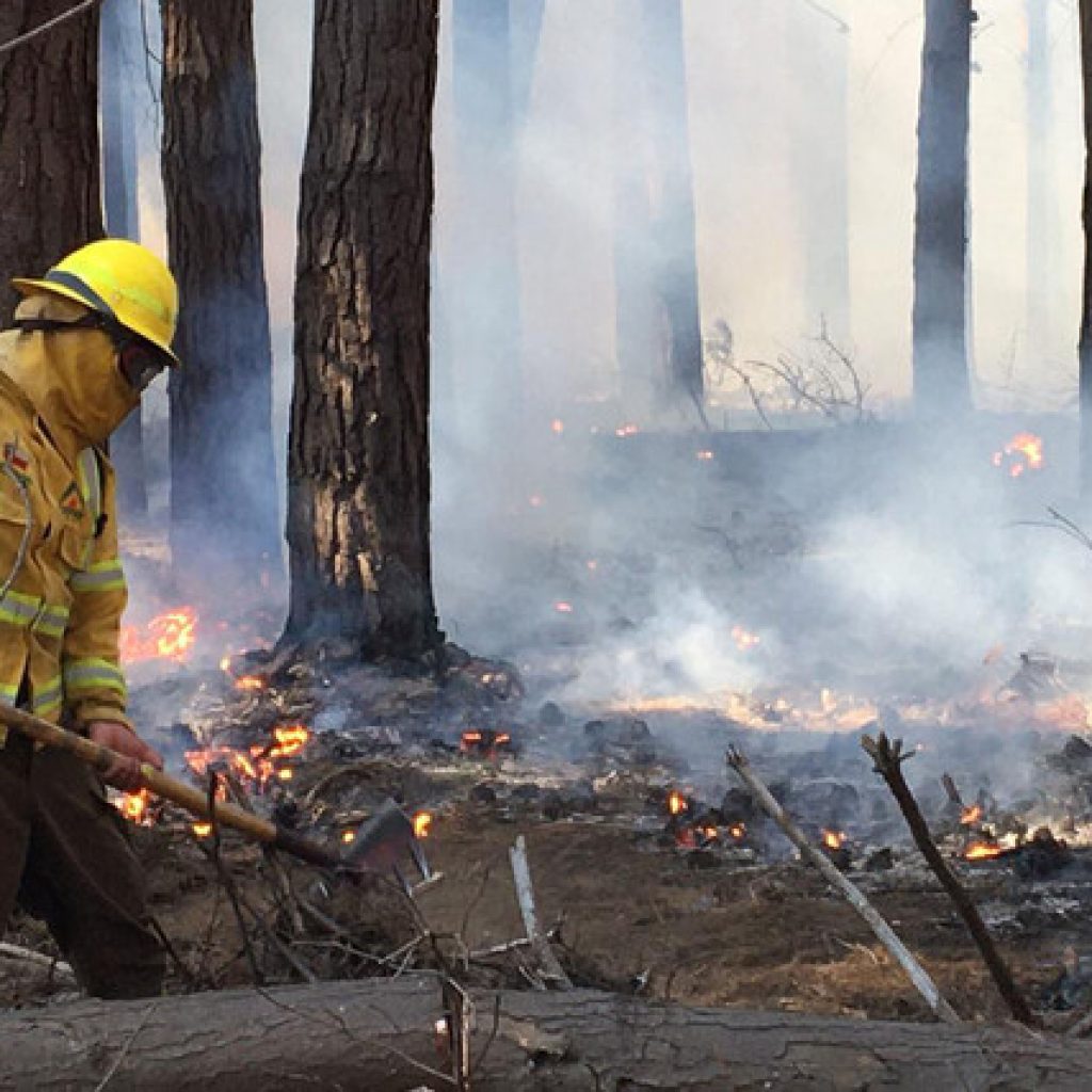 Undurraga por incendio en Reserva Lago Peñuelas: Hay rastros de intencionalidad