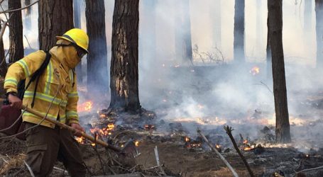 Undurraga por incendio en Reserva Lago Peñuelas: Hay rastros de intencionalidad