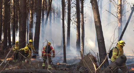 CONAF y Bomberos controlaron incendios forestales en Reserva Lago Peñuelas
