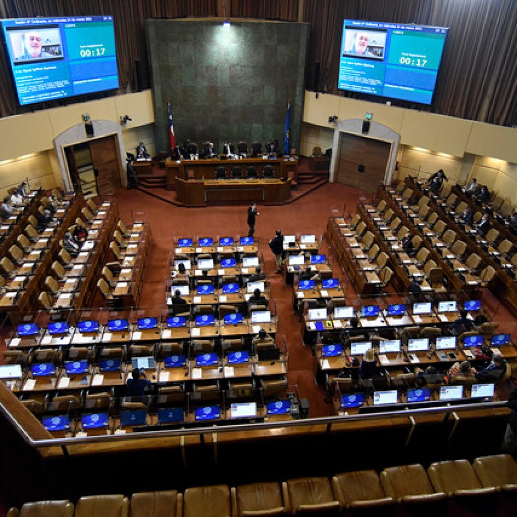 Cámara presentará recurso de protección tras denuncia de maltrato en hogar