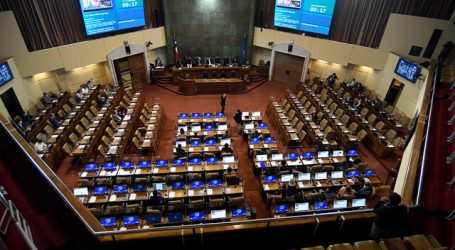 Cámara presentará recurso de protección tras denuncia de maltrato en hogar