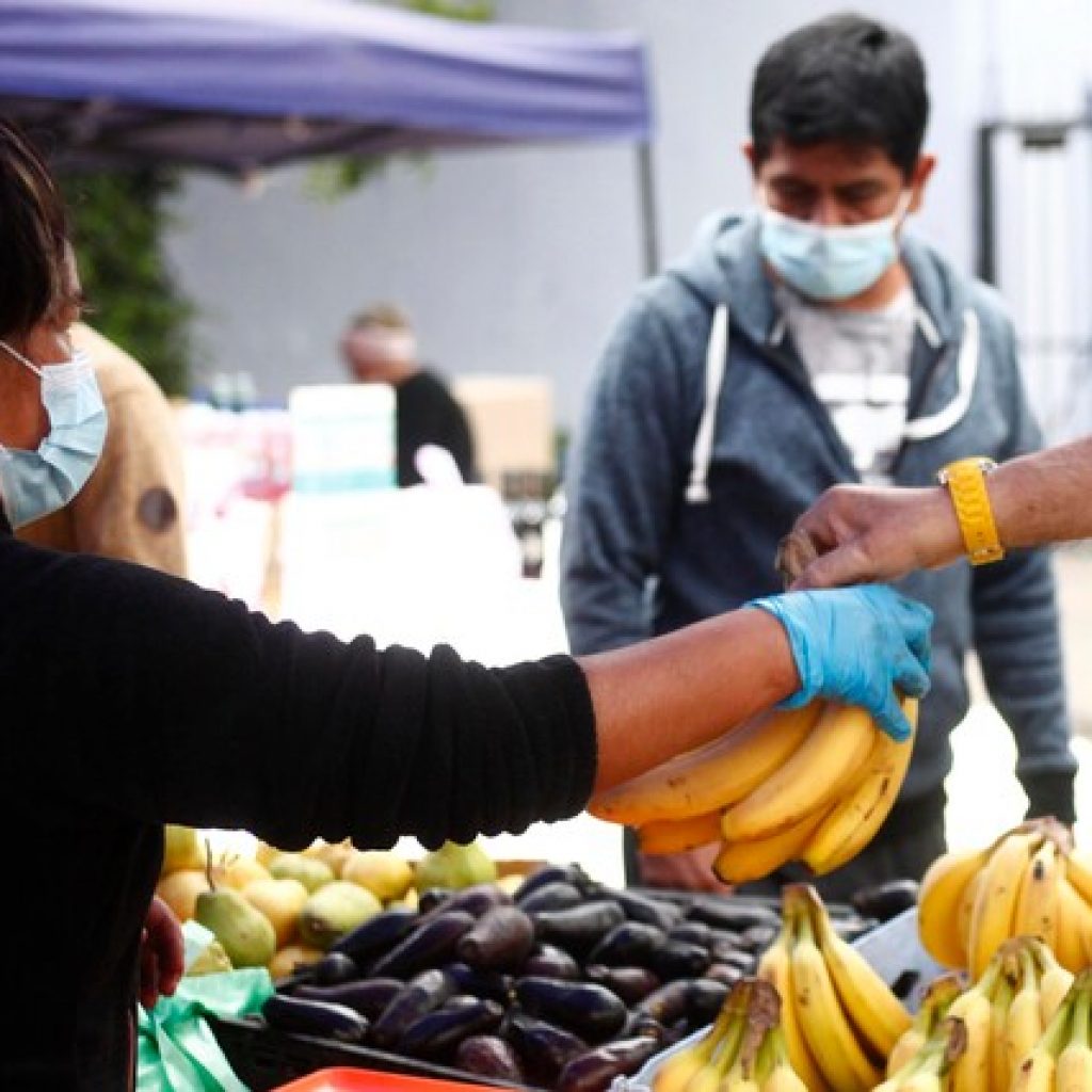 Ministra Undurraga: “La cadena de abastecimiento no se detendrá”