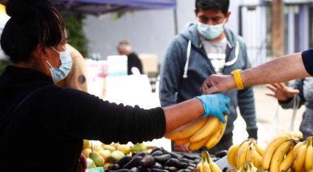 Ministra Undurraga: “La cadena de abastecimiento no se detendrá”