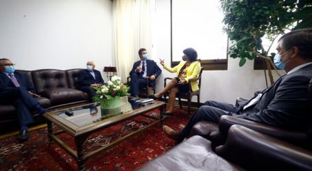 Medidas sanitarias: Senado y Cámara acuerdan trabajo colaborativo