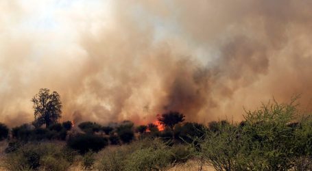 Se mantiene Alerta Roja para la comuna de Curacaví por incendio forestal