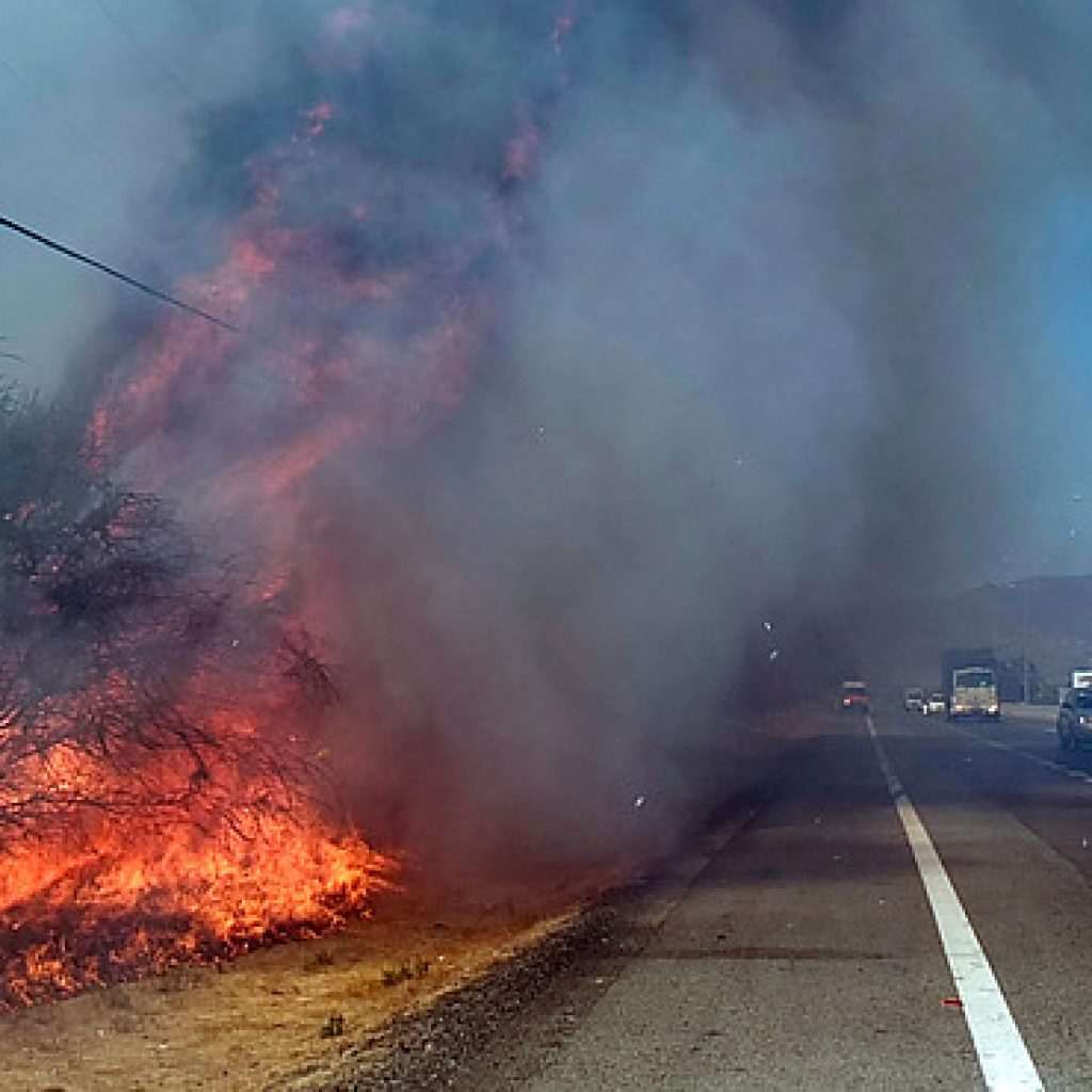 Tres personas resultaron detenidas tras incendio forestal en Curacaví