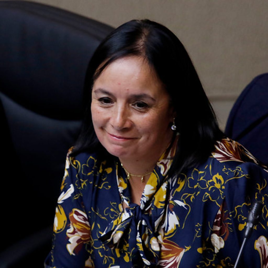 Aravena solicitó facilitar el acceso a anticonceptivos durante la pandemia