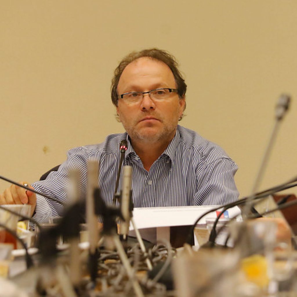 Postergación de elecciones: Comisión aprueba en general la iniciativa