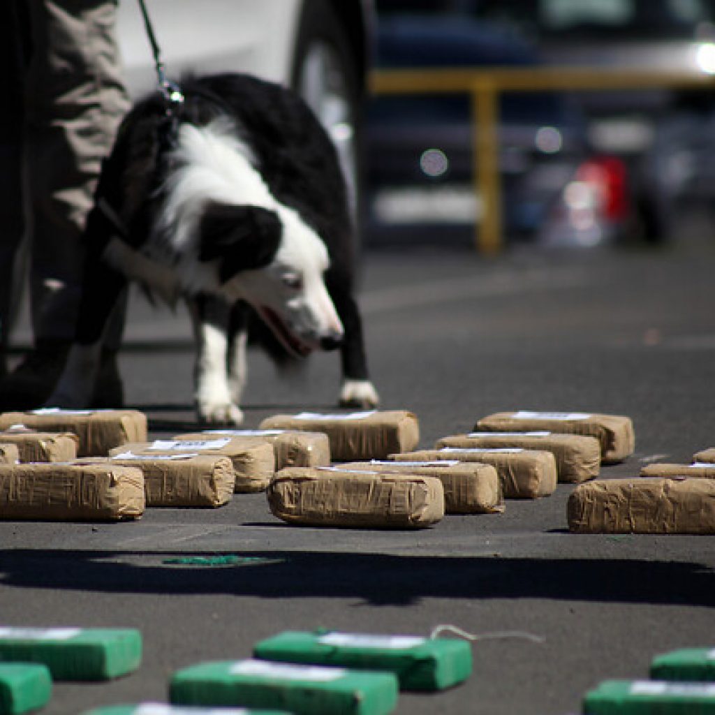 PDI decomisa 3 toneladas de droga que sería comercializada en la capital