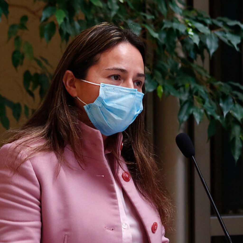 Pérez destaca postergación de Operación Renta y espera pronta auditoría al SII