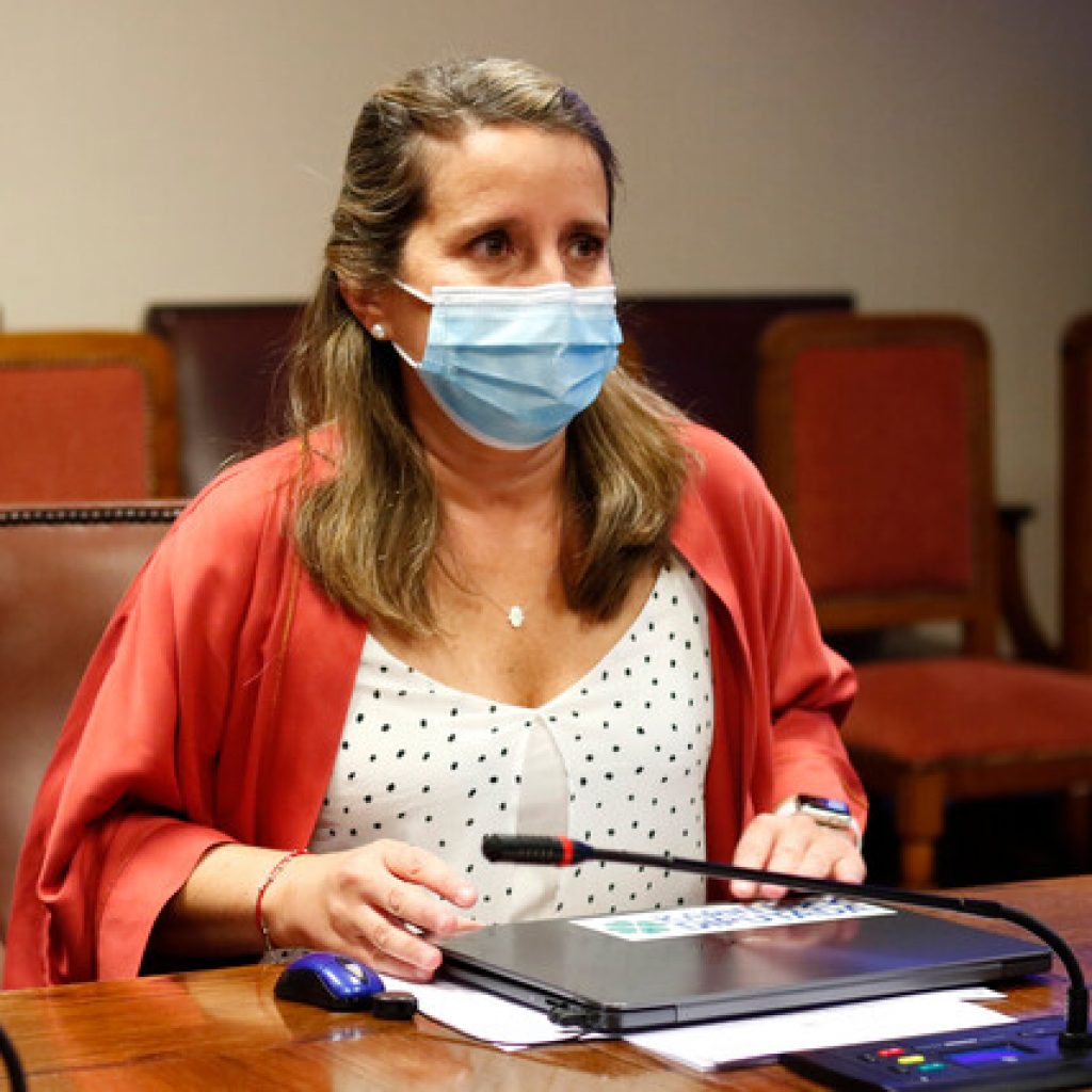 Diputada Luck critica “popurrí populista” en el Congreso