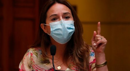 Diputada Joanna Pérez ofició al ministro del Interior por situacion en Tirúa