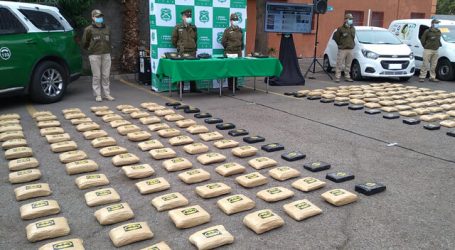 “Batinarcos”: Detienen a banda que intentó ingresar unos 240 kilos de marihuana