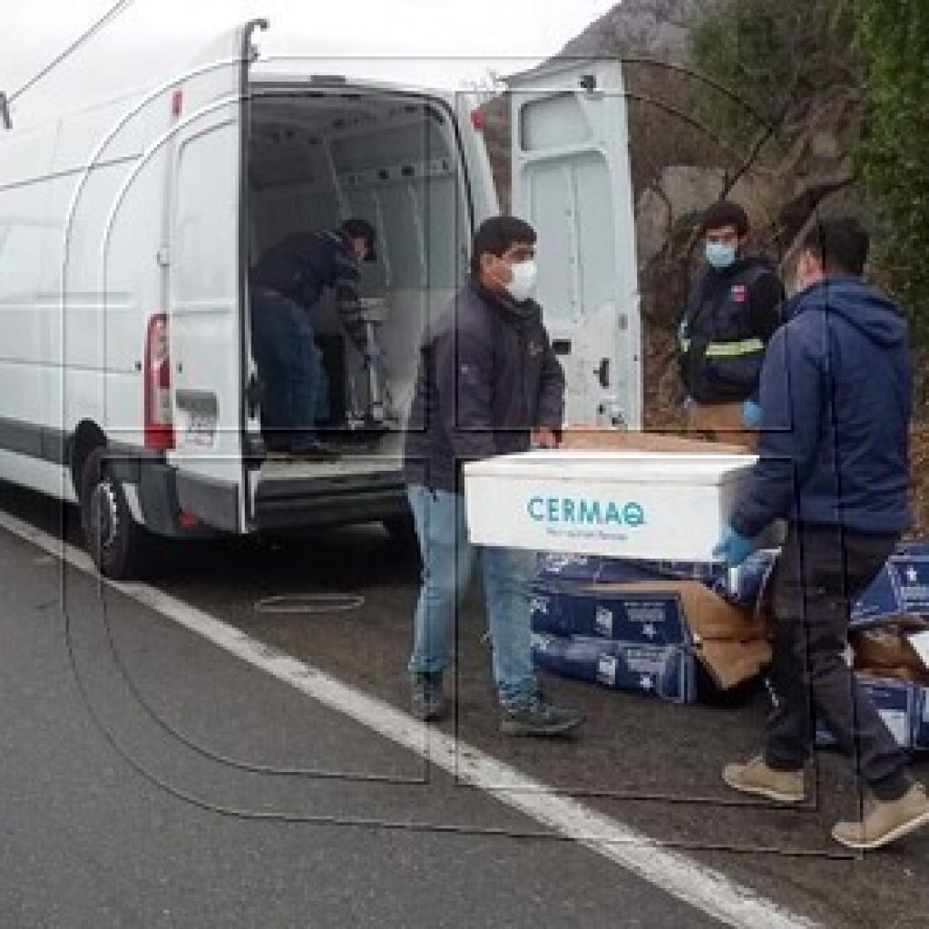 Previo a Semana Santa: Decomisan más de 2.370 kilos de productos del mar