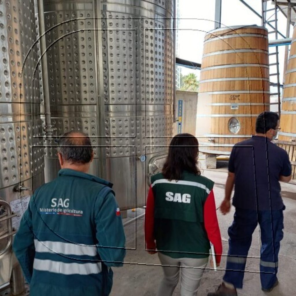 SAG intensifica fiscalizaciones durante temporada de vendimia 2021