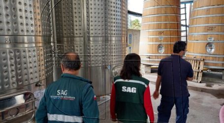 SAG intensifica fiscalizaciones durante temporada de vendimia 2021