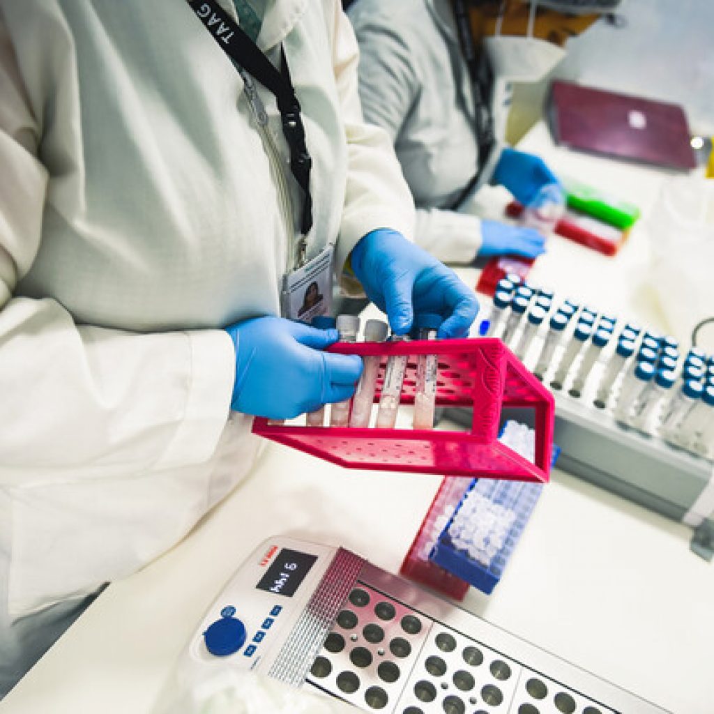 Región de Coquimbo registra 139 nuevos casos de Covid-19