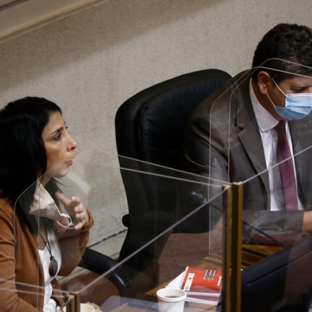 Ministra Rubilar pide urgencia al Congreso por Bono de Clase Media