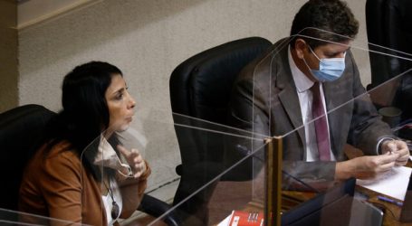 Ministra Rubilar pide urgencia al Congreso por Bono de Clase Media