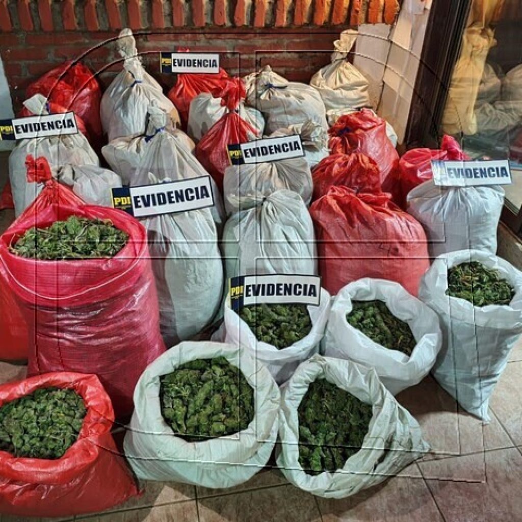 PDI incauta más de 110 kilos de marihuana en comuna de Petorca