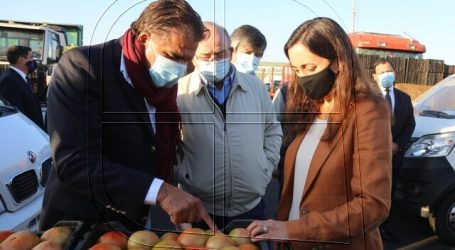 Gobierno estudia decretar estado de escasez hídrica en la Región de Los Lagos