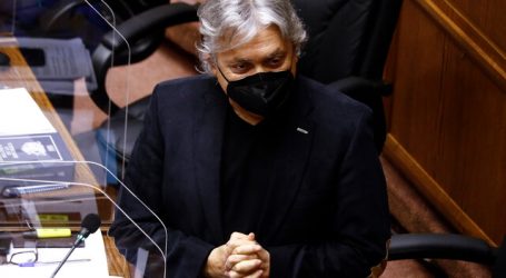 Navarro: “La CEP demuestra que Piñera es el jefe de campaña de Pamela Jiles”