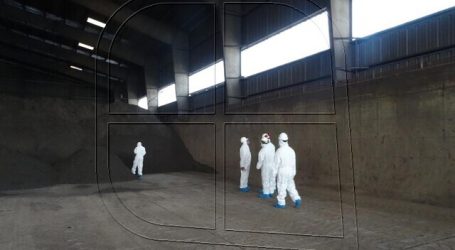 SMA formuló cuatro cargos a Terminal Puerto Arica S.A.