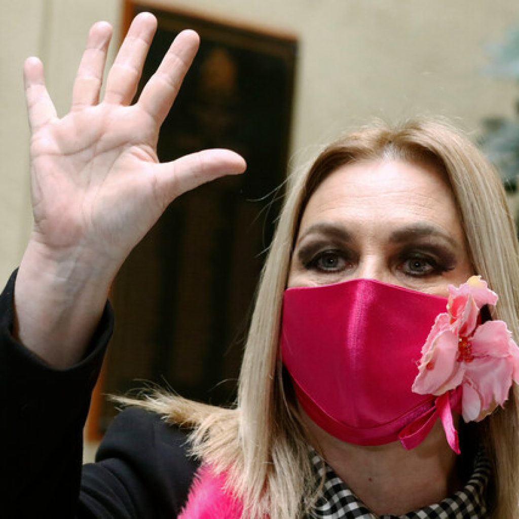 Jiles tras determinación del TC: Es el fin del gobierno de Piñera en la práctica