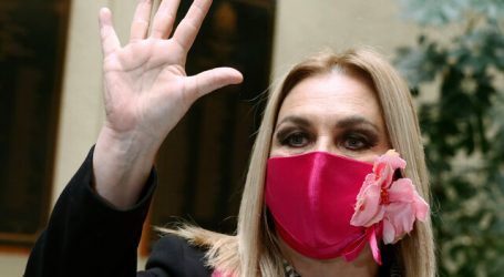 Jiles tras determinación del TC: Es el fin del gobierno de Piñera en la práctica