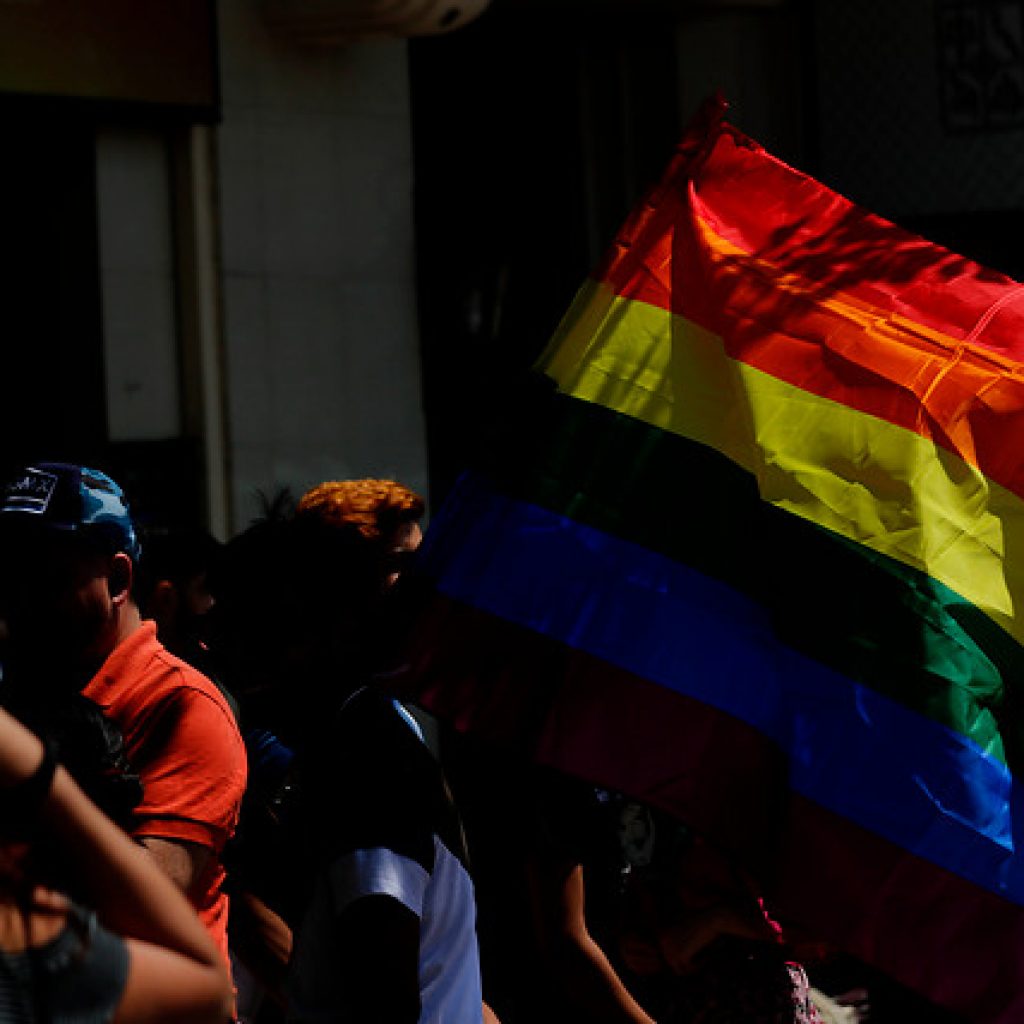 Movilh defiende ante el Senado el proyecto de adopción homoparental