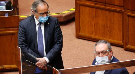 Pugh: “No se puede reformar a Carabineros sin Ministerio de Seguridad Pública”