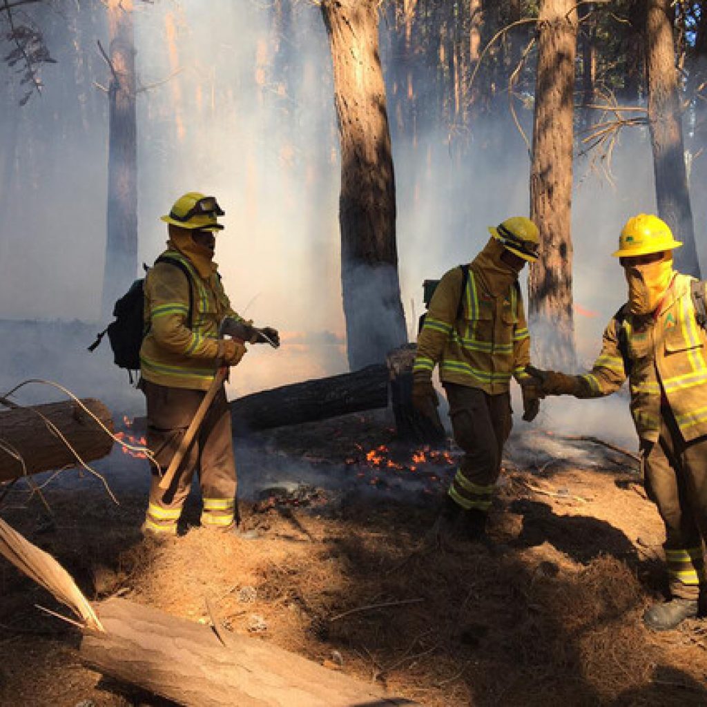 Alerta Roja para la comuna de Valparaíso por incendio forestal