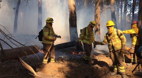 Alerta Roja para la comuna de Valparaíso por incendio forestal